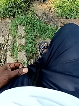 dolphiinn online show from 11, 4, 2026