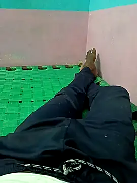 dolphiinn online show from 23, 9, 2025