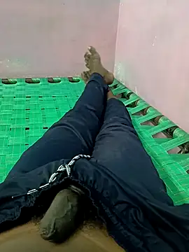 dolphiinn online show from 4, 10, 2025