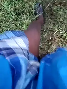 dolphiinn online show from 19, 1, 2026