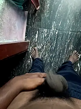 dolphiinn online show from 21, 11, 2025