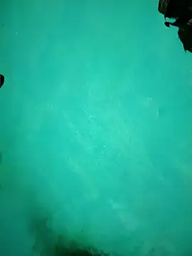 Snapshot of Arti13A chatting on 17, 1, 2026 Arti13A online show from 17, 1, 2026