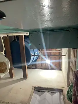 spiderfindom online show from 24, 7, 2026