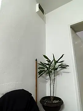 papichulo0099 online show from 15, 2, 2026