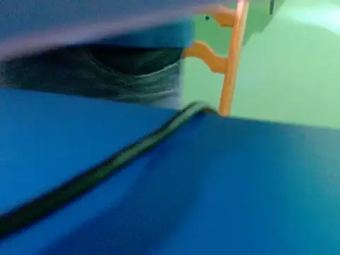 pau888kkkk online show from 30, 9, 2025