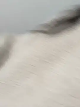 Snapshot of Victoria_alson chatting on 19, 2, 2026 Victoria alson online show from 19, 2, 2026