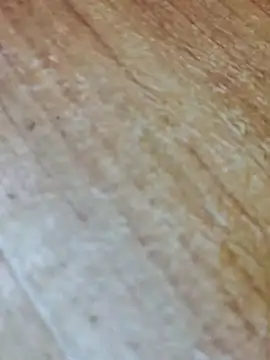 Markroco696 online show from 13, 11, 2025