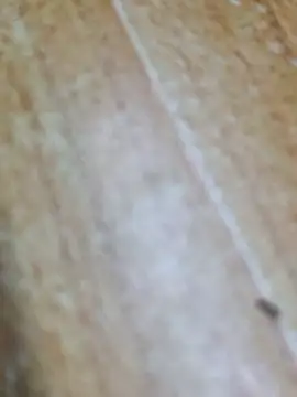 Markroco696 online show from 28, 9, 2025