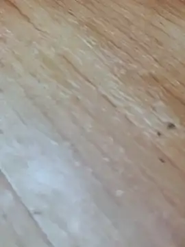 Markroco696 online show from 14, 11, 2025