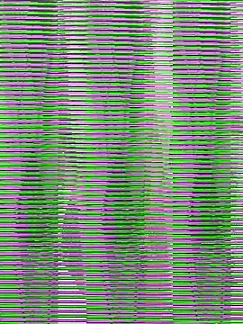 Dikchahot online show from 10, 9, 2025