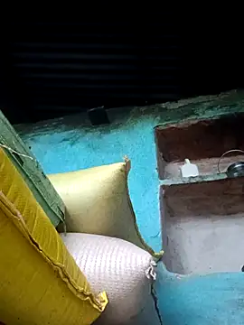 Dikchahot online show from 30, 10, 2025