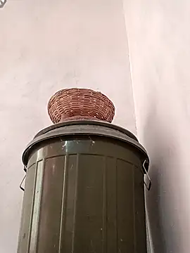 Dikchahot online show from 15, 10, 2025