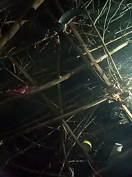 cute diya 12 online show from 10, 9, 2025