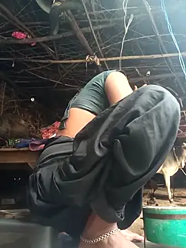 cute diya 12 online show from 24, 11, 2025