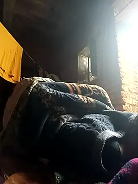 cute diya 12 online show from 19, 2, 2026