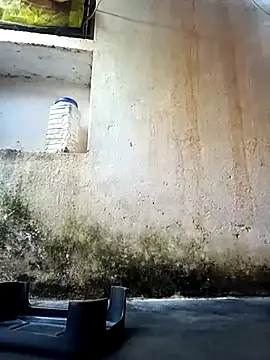 cute diya 12 online show from 10, 2, 2026