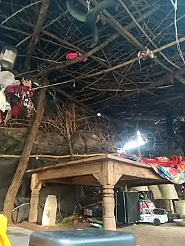 cute diya 12 online show from 18, 11, 2025