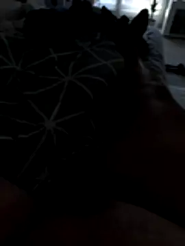 julienCr7 online show from 17, 11, 2025