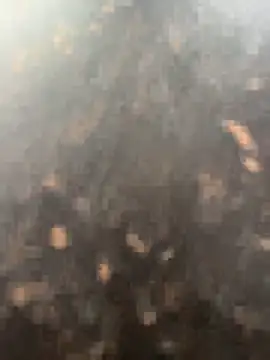 anjalibb online show from 27, 10, 2025