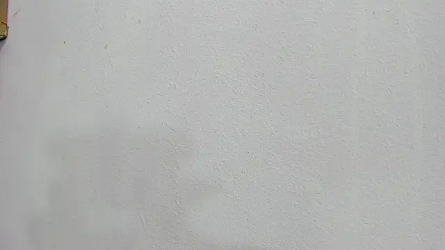 scarlett646 online show from 25, 10, 2025