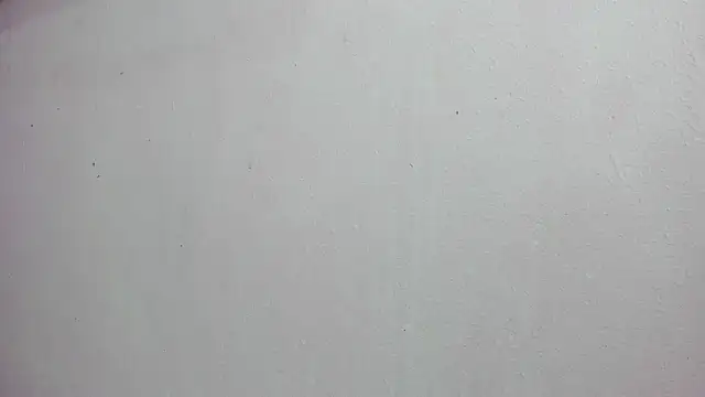 scarlett646 online show from 14, 11, 2025