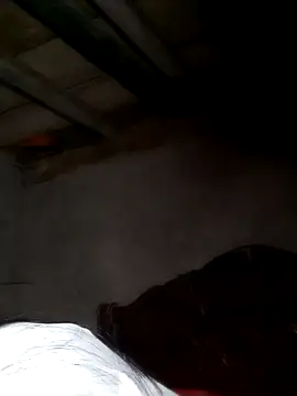 misa 00 online show from 24, 2, 2026