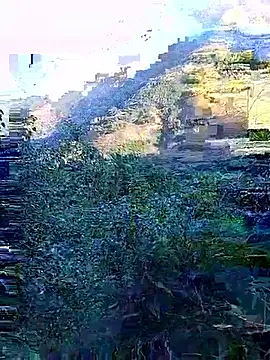 misa 00 online show from 29, 11, 2025