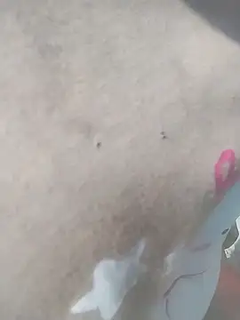 venu00 online show from 8, 4, 2026