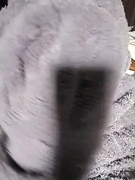 venu00 online show from 14, 2, 2026