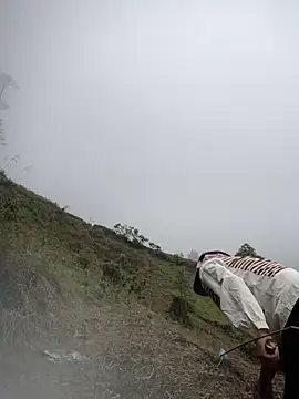 Ngoc-bbi online show from 1, 4, 2026