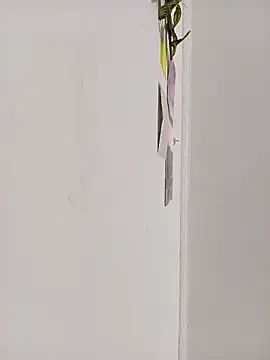 dulcelatin21 online show from 17, 10, 2025