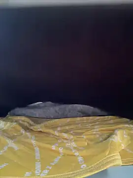 REIJI0323 online show from 14, 9, 2025