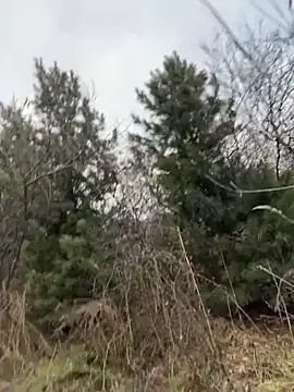 Snapshot of desiredude9 chatting on 2, 11, 2025 desiredude9 online show from 2, 11, 2025