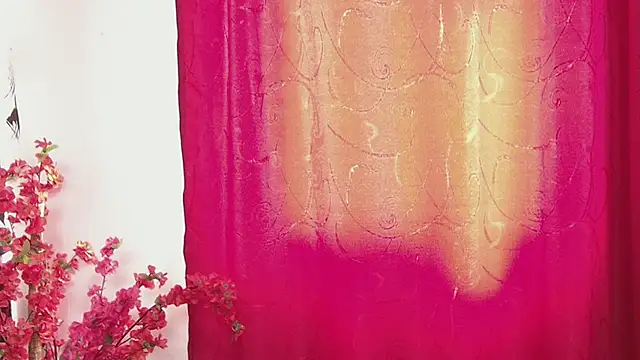 sany noa online show from 8, 11, 2025