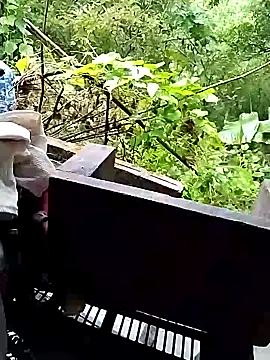 lylylove online show from 26, 9, 2025