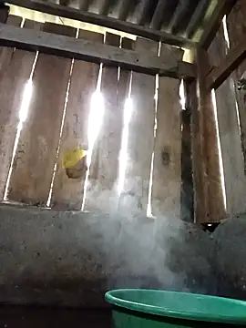 Ngocmi909 online show from 16, 11, 2025