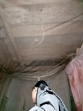 Sa2mh20 online show from 8, 2, 2026