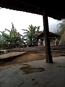 Sa2mh20 online show from 5, 12, 2025