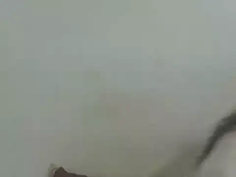 Vaani Singha online show from 12, 3, 2026