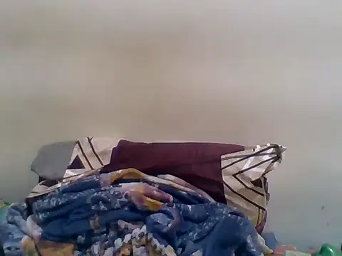 Vaani Singha online show from 13, 4, 2026