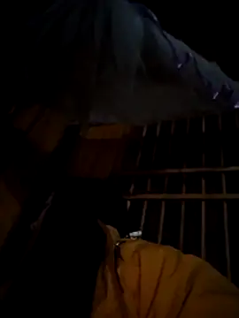 miss-su online show from 1, 12, 2025