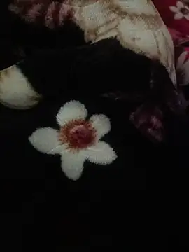 indianshycouple online show from 9, 4, 2026