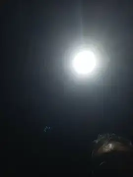 sexy and hot 1 online show from 12, 2, 2026