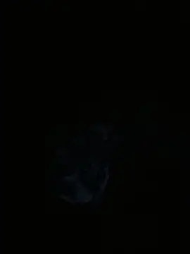 ittybittymeryssa online show from 26, 3, 2026