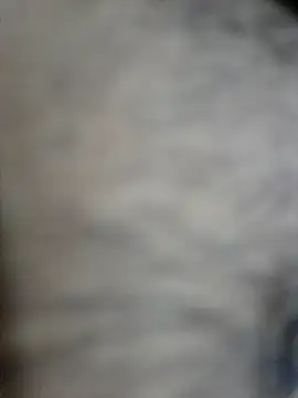 SHIFT1234 online show from 2, 10, 2025