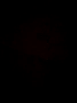 Jann Riya333 online show from 1, 2, 2026