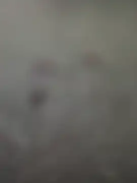 Rimvideo online show from 7, 7, 2026