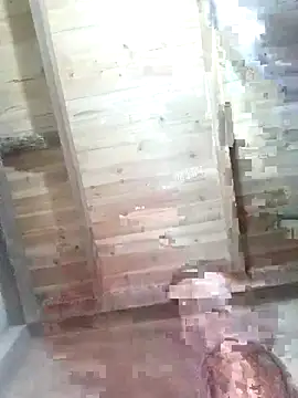 Snapshot of Fienjr chatting on 12, 2, 2026 Fienjr online show from 12, 2, 2026