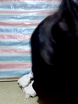 Snapshot of Georgia_here chatting on 16, 12, 2025 Georgia here online show from 16, 12, 2025