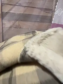 Binjt online show from 4, 12, 2025